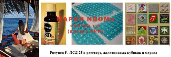 стаф Карпинск