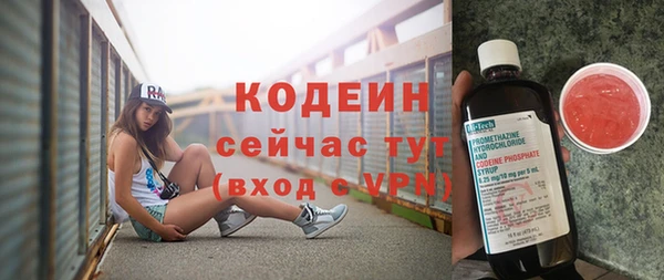 стаф Карпинск