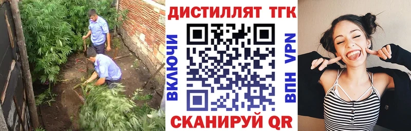 ТГК концентрат  Купить закладки  Западная Двина 