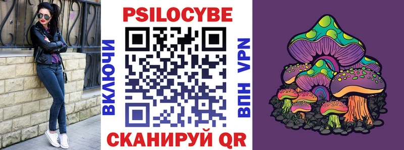 Купить закладки  Западная Двина  Галлюциногенные грибы Psilocybine cubensis 